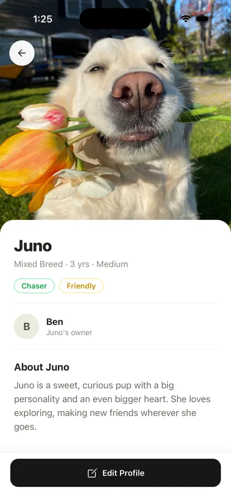 Off Leash Dog profile screen — Traits, photos, and pack